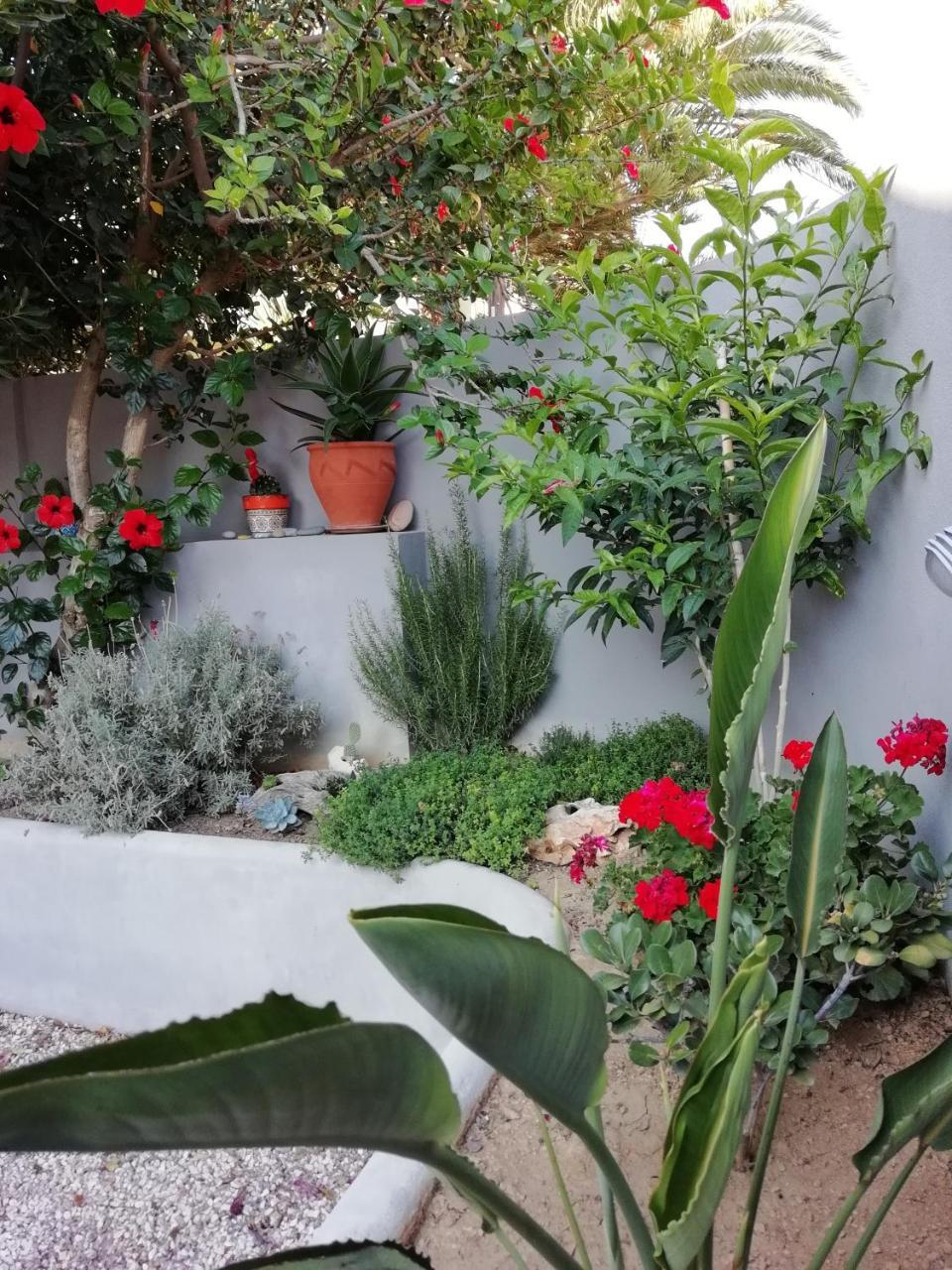Dimitris' & Valentina'S Home Plakias Extérieur photo