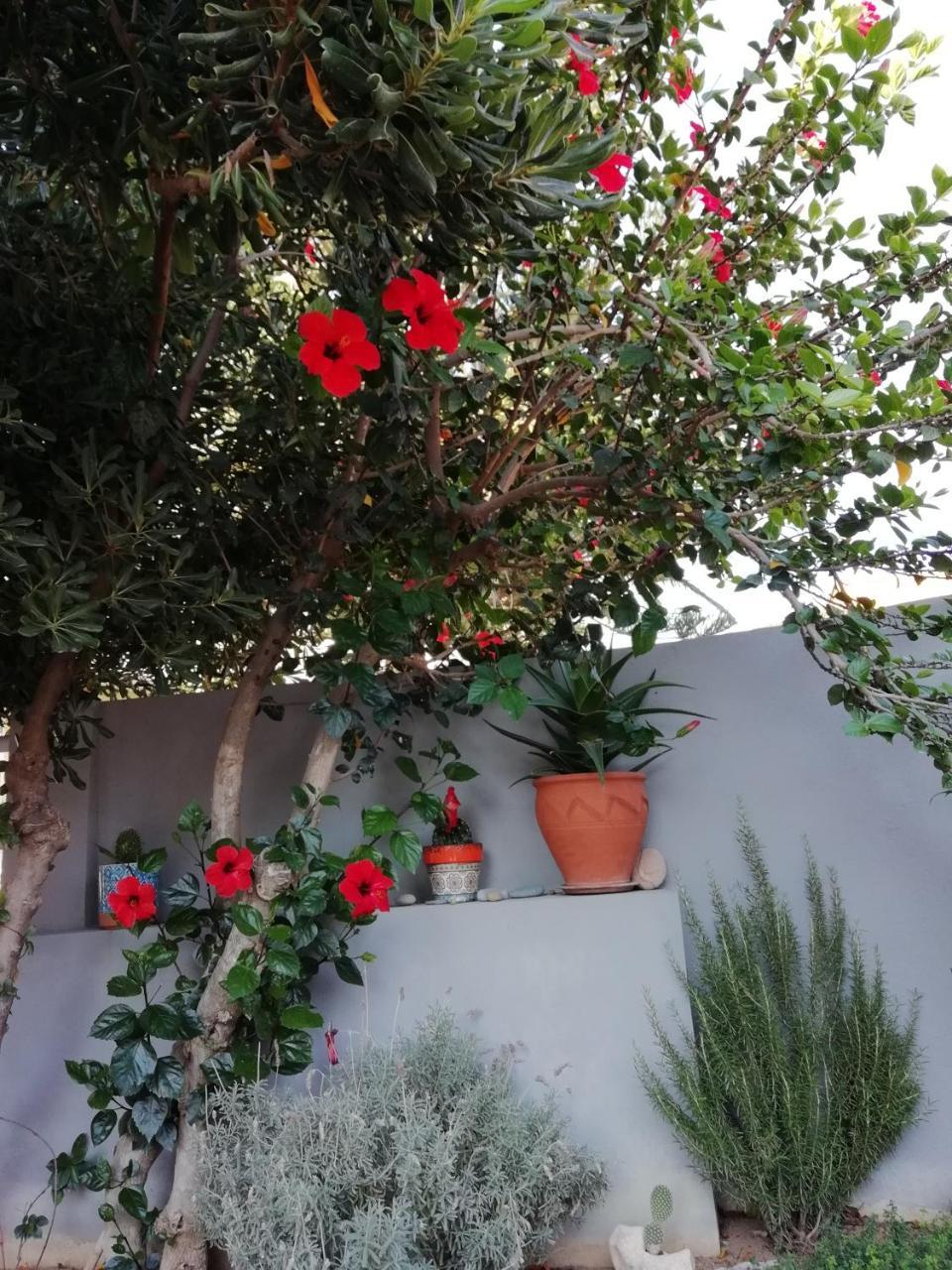 Dimitris' & Valentina'S Home Plakias Extérieur photo